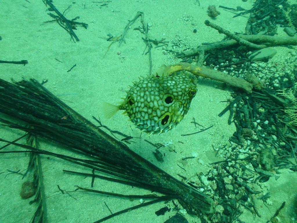 2008-05-14 17-48-56.JPG